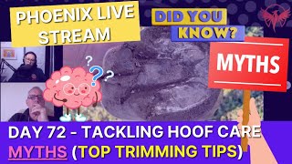 Day 72  Tackling Hoof Care MYTHS 🦄 Top Trimming Tips 🔍 [upl. by Ahearn]