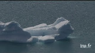 Danemark Groënland  bâteau rouge parmi les icebergs [upl. by Block]