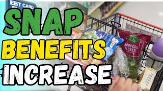 2025 SNAP Benefits The Tiny COLA Raise That’s Making Waves [upl. by Ahsekat207]