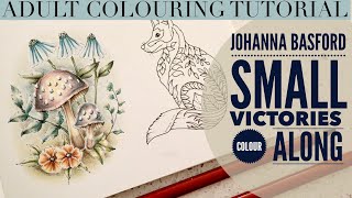 How to colour with Derwent Drawing 24 set in SMALL VICTORIES JohannaBasford [upl. by Rezal]