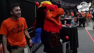 Albany Firebirds vs Nashville Kats 522024  Recap [upl. by Lobiv]