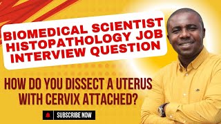 HOW DO YOU DISSECT A UTERUS WITH CERVIX ATTACHED [upl. by Ycam]