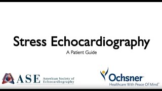 Stress Echocardiography A Patient Guide [upl. by Docilu914]