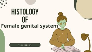 Histology of Female Genital System [upl. by Dragon]