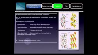 Basiskurs BiochemieChemie Proteine Teil 810 [upl. by Hendricks]