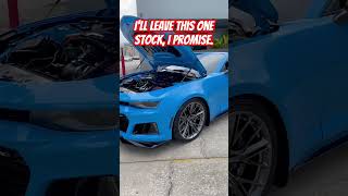 Magnuson Powered Gen 6 ZL1 Camaro Full Bolt On Build [upl. by Muriah331]