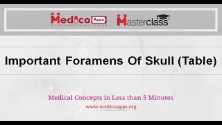 Important Foramens of skull Table [upl. by Hada402]