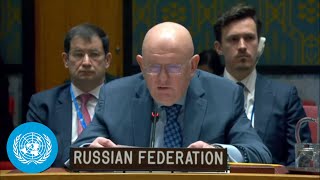 Full Russia Vetoes Security Council Resolution Meant to Monitor UN Sanctions in DPR Korea [upl. by Maleen]