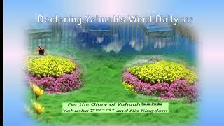 Declaring Yahuahs Word Daily 339  Clement fear all [upl. by Lemkul870]