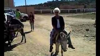 Donkey Riding Atlas Mountains [upl. by Dhiman]