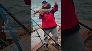 Skate fishing scotland fishing fishingmethods fishingchannel fish [upl. by Ohaus]