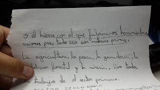 Los trabajos del sector primario  secundario y el terciario [upl. by Seadon]