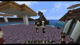 The Minecraft Project  Minecraft Is Insane [upl. by Annohsak905]