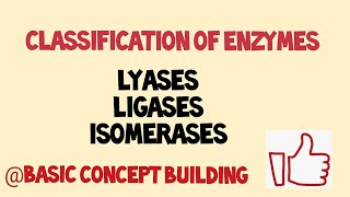 Classification of enzyme  ligases  lyases  isomerases  last part [upl. by Neirb]