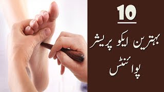 Acupressure Points For Common Diseases  In Urdu  Fun Kadah [upl. by Ennaesor281]