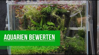 Aquarien Bewerten  Eure Aquarien  GarnelenTv [upl. by Nyladnor]