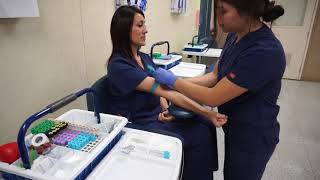 Venipuncture Medical Assisting Video [upl. by Yrot821]