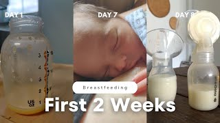 Tips for Breastfeeding  The First Two Weeks ENGORGEMENT MILK SUPPLY LATCHING NIPPLE PAIN [upl. by Ramma]