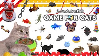 CAT GAMES  Latest Games For Cats Entertainment Video for Cats to Watch  CAT amp DOG TV [upl. by Yendyc]