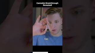 Cannabis Breakthrough Revealed Shorts [upl. by Waly]