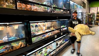 Exploring RARE Pet Shop In Florida [upl. by Trey255]