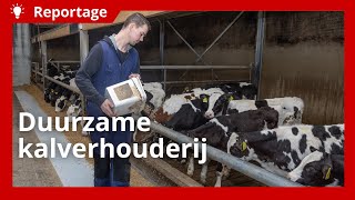 Duurzaam vleeskalveren grootbrengen met restproducten en eigen gewassen [upl. by Sidoon]