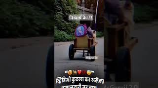 कुठलाही स्वार्थ नसताना केलेले प्रेमNew WhatsApp status videoMotivation [upl. by Klatt354]