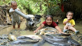 How to harvest a huge herd of fish to sell at the market  cook food for the pigs with your children [upl. by Buskirk]