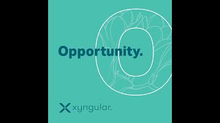 Xyngular Does It Better [upl. by Ches]