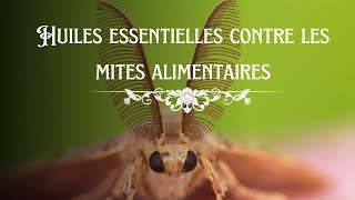 Huiles essentielles contre les mites alimentaires [upl. by Kessler]