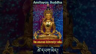 ☸Long Life MantraAmitayus Buddha [upl. by Yelda]