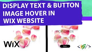 How to Display Button and Text on Image Hover in Wix Website [upl. by Airdnahs]