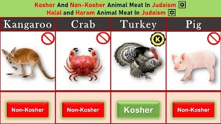 Kosher And Non Kosher Animal Meat In Judaism ✡️ Halal and Haram Animal Meat In Judaism ✡️ [upl. by Nyleahs]