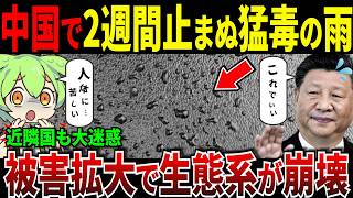 雨乞い政策が成功するも猛毒の雨が降り止まず生態系崩壊w【ずんだもん＆ゆっくり解説】 [upl. by Isborne]