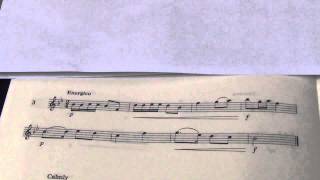 Violin Grade 3 Sight Reading No 3 Energico [upl. by Immak]