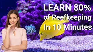 Saltwater Aquarium Basics In 10 Minutes [upl. by Sineray]