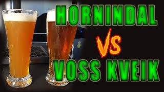 Voss vs Hornindal split batch Experiment  Competition Hornindal WINNER [upl. by Igic]