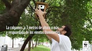 Aprende a construir cajas nido con WWF y Marca [upl. by Noelle730]