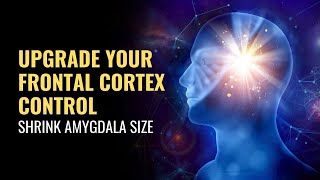 Shrink Amygdala Size  Upgrade Your Frontal Cortex Control  Overcome Fear Response and Anxiety [upl. by Isa]