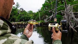 I Cant Believe This Worked Throwing BIG Swimbaits in a Brackish River Catches BIG Fish [upl. by Lindholm733]