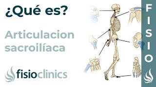 Articulación SACROILÍACA  Qué es ubicación tipo movimientos y lesiones  FisioClinics Palma [upl. by Ettigdirb978]