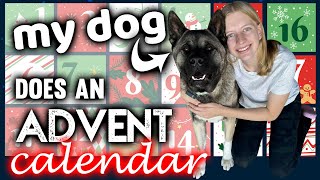 Advent Calendar for My Dogs [upl. by Mell806]