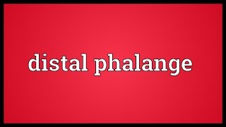 Distal phalange Meaning [upl. by Terej743]