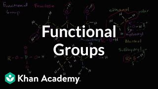 Functional Groups [upl. by Bennink536]