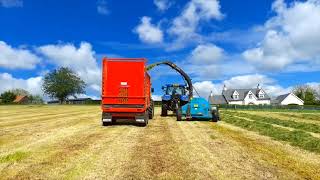 Silage 2022 1st Cut [upl. by Jorie952]