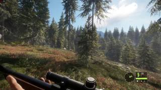 theHunter Call of the Wild  r9 290  AMD FX 8350  Ultra [upl. by Anilorak]