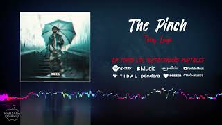 Tony Loya  The Pinch Audio Oficial [upl. by Suivatco]