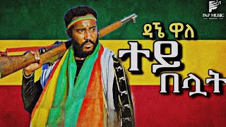 Dagne Walle Tay Beluat  ዳኘ ዋለ ተይ በሏት  New Ethiopian Music 2024 Official Video [upl. by Garihc]