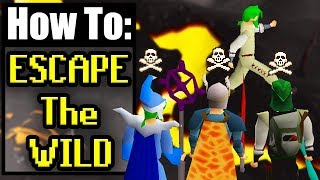 A Guide To Escaping The Wild In Old School Runescape [upl. by Lilahk695]