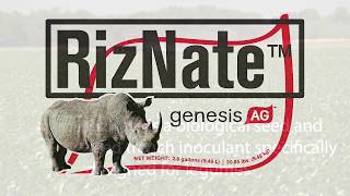 RizNate Soybean Seed Treatment [upl. by Oranneg]